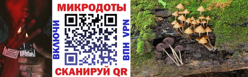 Псилоцибиновые грибы прущие грибы  Катав-Ивановск 